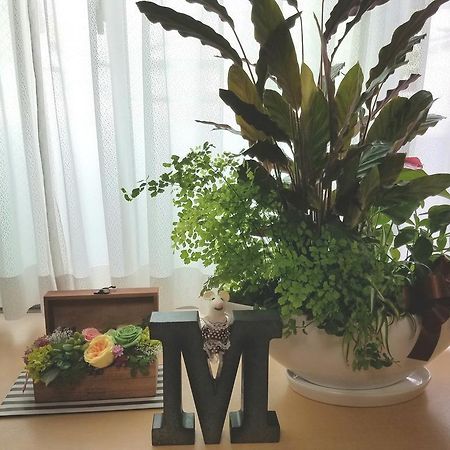 Villa M Guesthouse Kanazawa Eksteriør billede